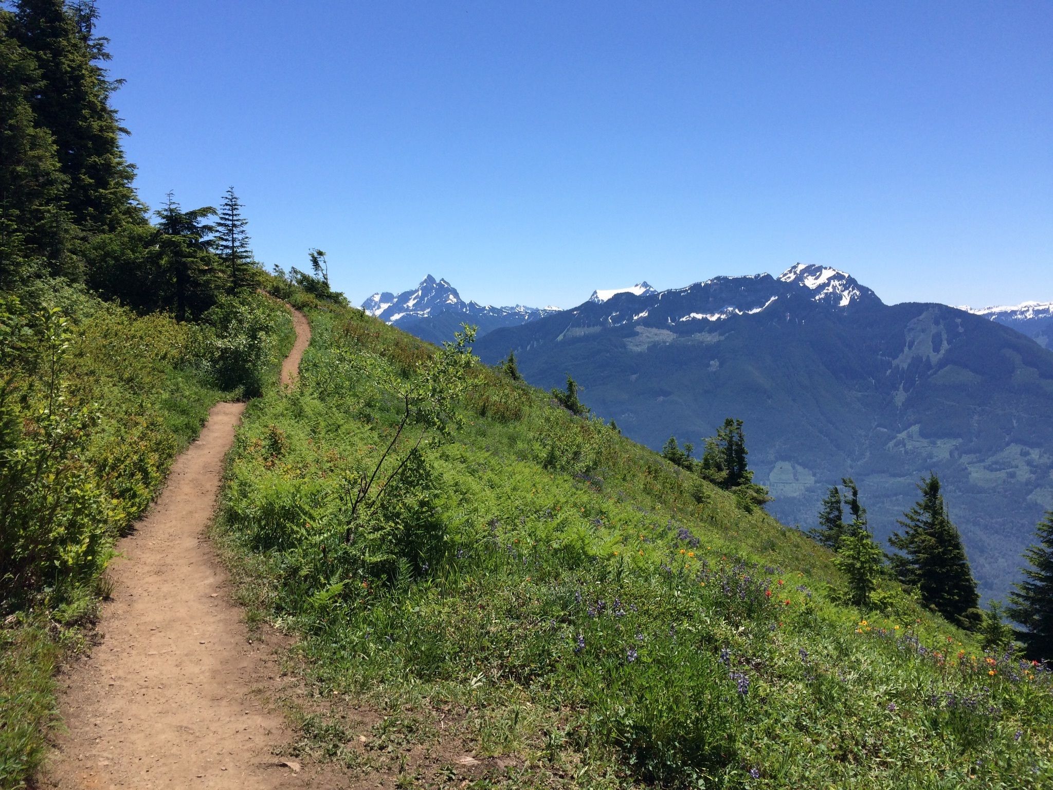 Chilliwack Provincial Park – Kamloops Hiking Club