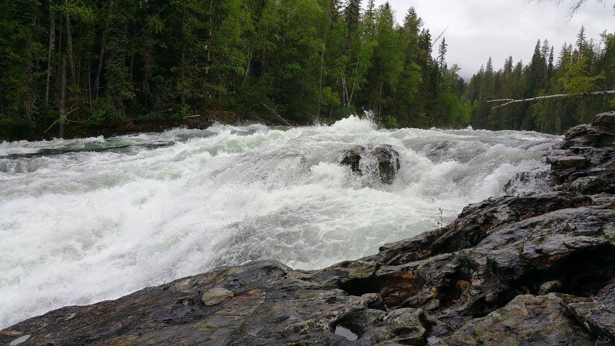 Baileys Chute Loop – Kamloops Hiking Club