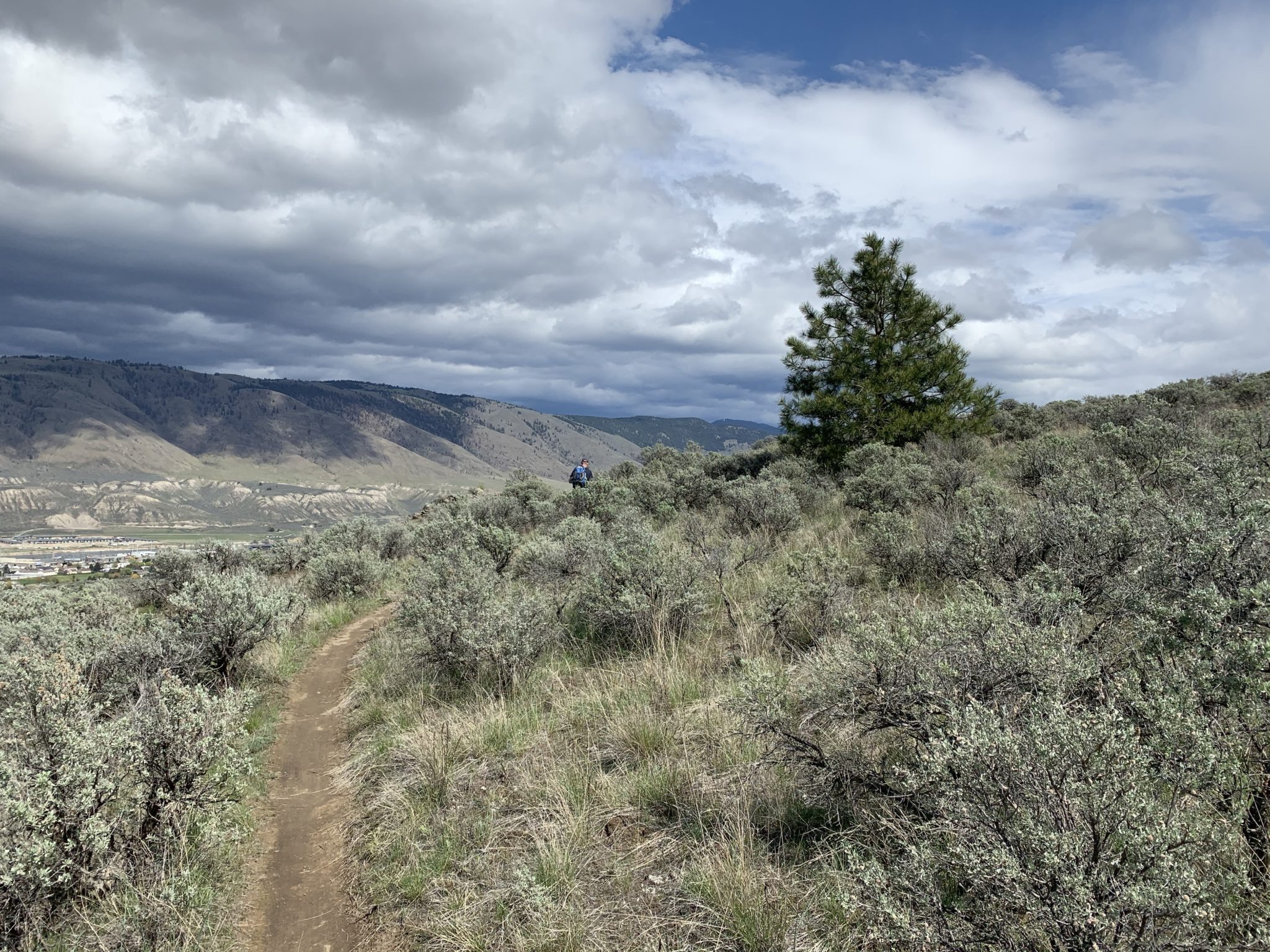 Lower Rose Hill – Valleyview – Evening Hike – Kamloops Hiking Club