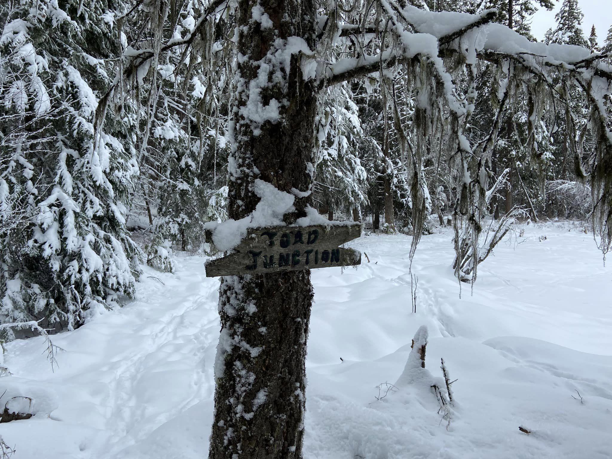 McQueen Lake – KHerndier – Kamloops Hiking Club